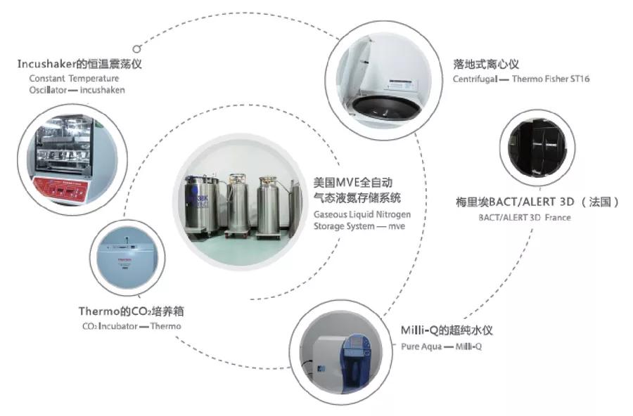中科干細(xì)胞實(shí)驗(yàn)室設(shè)備 中科干細(xì)胞實(shí)驗(yàn)室設(shè)備
